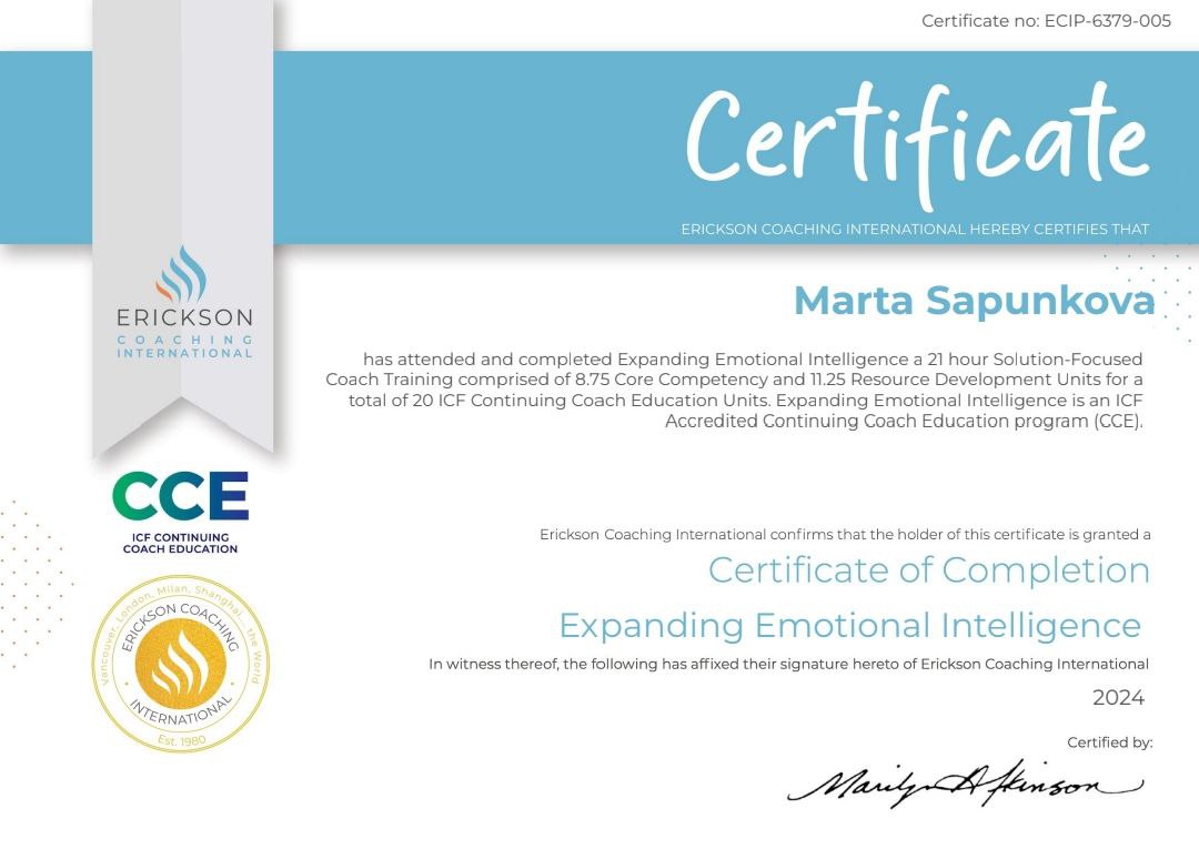 Сертификат 2